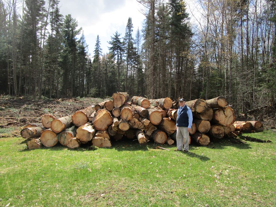 2017 Wood Pile